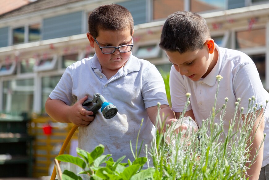 Primary , Exchange Teacher Training