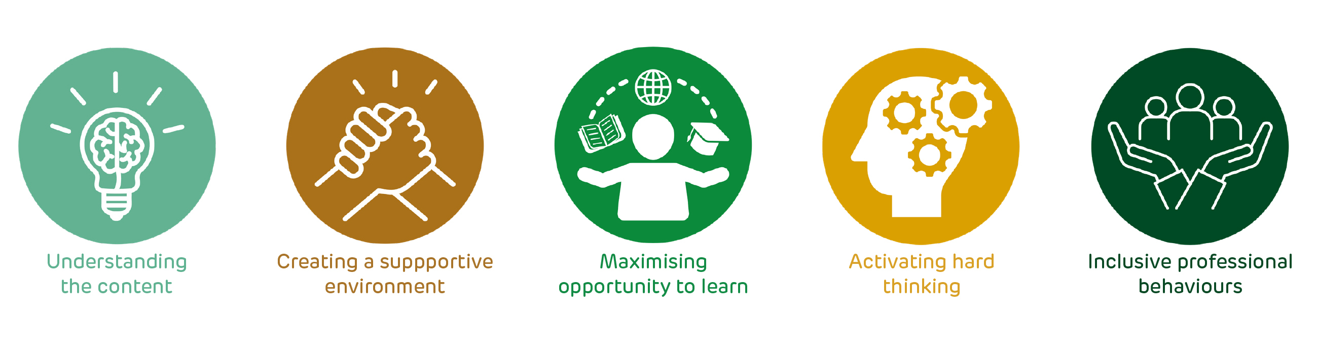 Curriculum Icon line