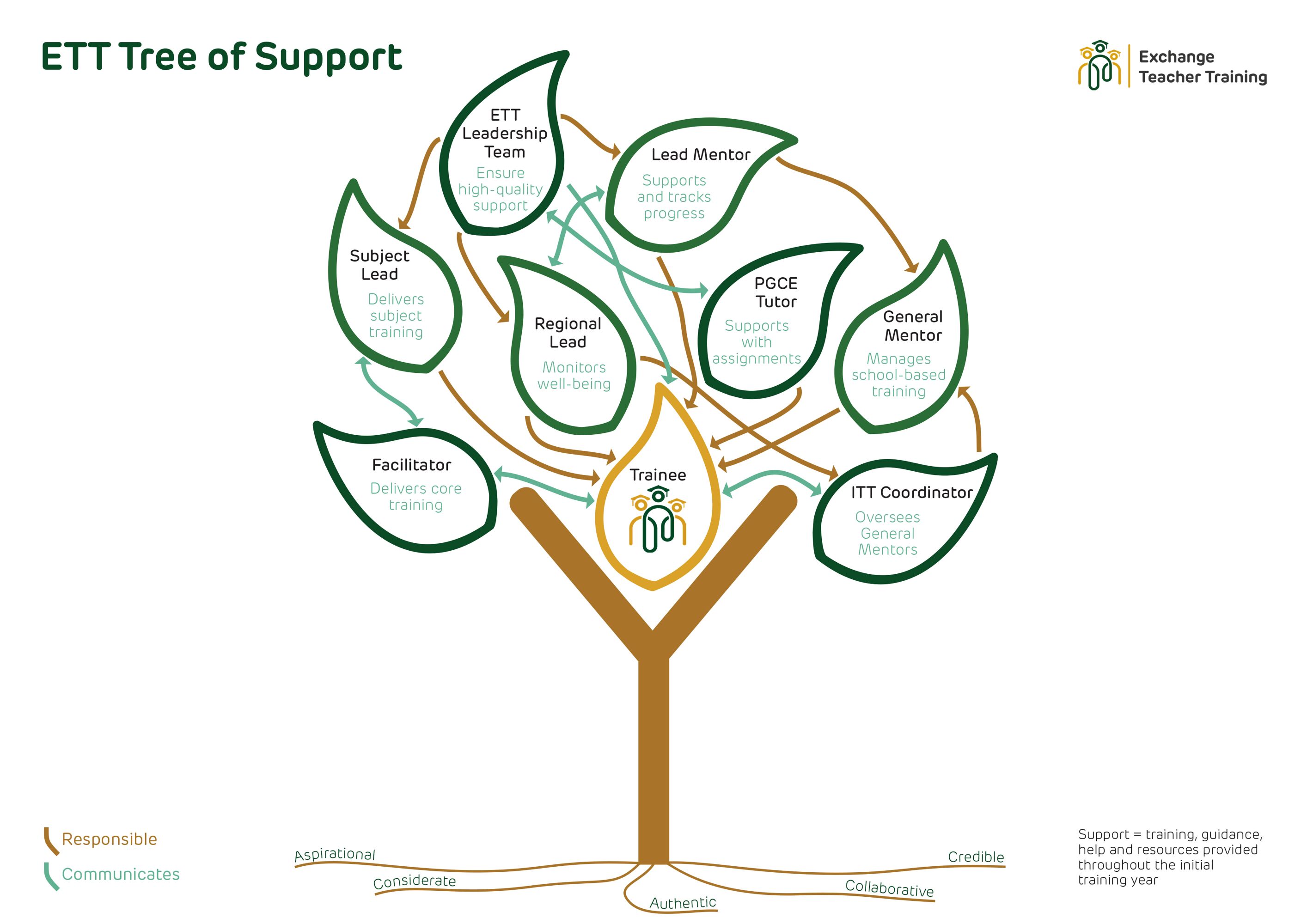 Trainee Web Diagram Tree